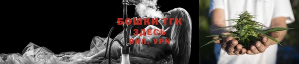 гидропоника Горняк