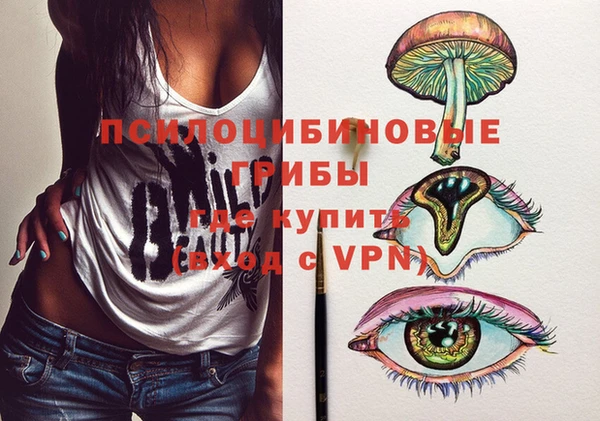 гидропоника Горняк