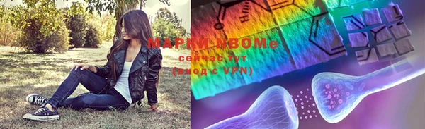 гидропоника Горняк