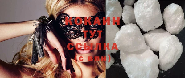 гидропоника Горняк
